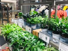 -鹿岛生活(熙地港店)