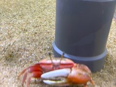 -欢乐海岸海洋奇梦馆