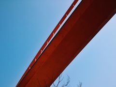 -金鸡山公园