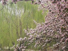 -元大都城垣遗址公园