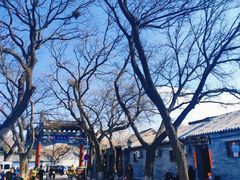 -北京国子监胡同