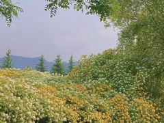 -西安关中民俗艺术博物院