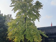 -梅村泰伯庙