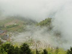 -紫鹊界梯田景区