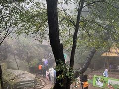 -鲁山国家森林公园