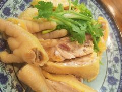 三黄鸡-九斤黄三黄鸡专卖店