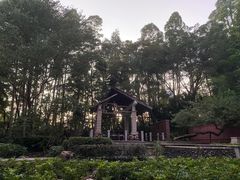 -深圳国际园林花卉博览园