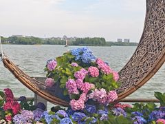 -无锡蠡湖国家湿地公园-蠡园