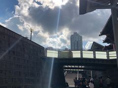 -龙凤冰室