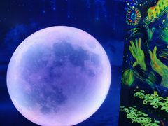-天津梵高星空艺术馆(天河城旗舰店)