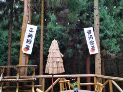-山王坪喀斯特国家生态公园