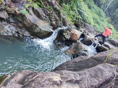 -广州白江湖森林公园