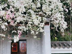 -深圳国际园林花卉博览园