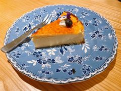 -O'eat Blossom&Pelican(深圳首店)