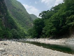 -黑河国家森林公园