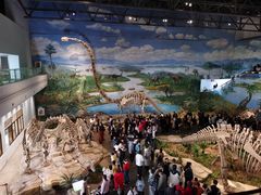 -自贡恐龙博物馆