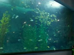 -聊城海底世界