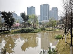 -沐仙湖湿地公园