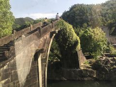 -鹿亭中村