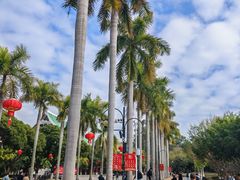 -厦门大学(思明校区)