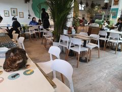 大堂-小时光咖啡馆(北锣鼓巷店)