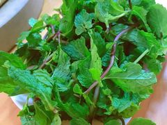 薄荷叶-云南野生菌石锅鱼石锅鸡(大金塔店)