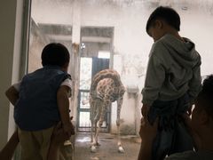 -成都动物园