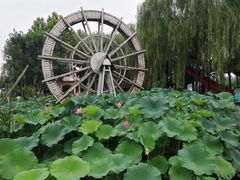 -河北村民俗体验园