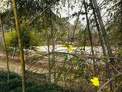 -江南荣村(小溪店)