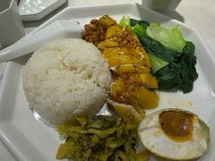 -金戈戈香港豉油鸡(南山海岸城店)