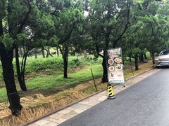 -八大关景区