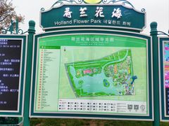-荷兰花海