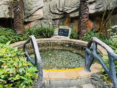 -海口观澜湖火山温泉谷