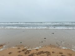 -日照海滨国家森林公园
