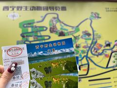 -青藏高原野生动物园