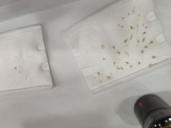-靓芙泉祛痘.科技美肤连锁