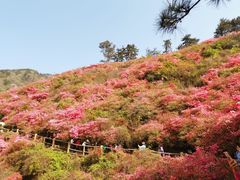 -木兰云雾山