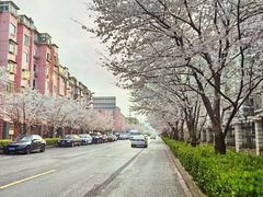 -永乐路-路侧停车场