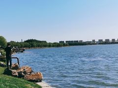 -丁香湖公园