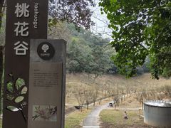 -中山市树木园
