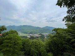 -莫干山风景区