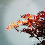 徐家汇光启公园