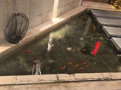 -华夏良子·足道SPA艾灸(翠微店)