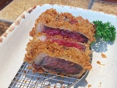 -山杏yama-katsu·吉列炸物