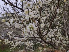 -福建天门山