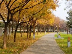 -唐城墙遗址公园