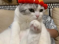 -贝紫Style(木马公寓店)