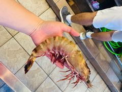 -真浪花园海鲜餐馆