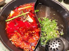 -鸿姐老火锅·传统炒料(上海旗舰店)