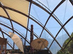 -怀托摩萤火虫洞